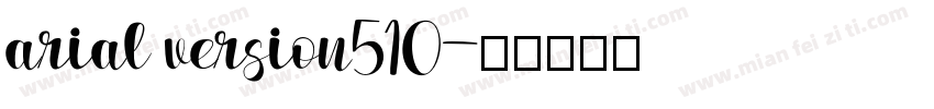 arial version510字体转换